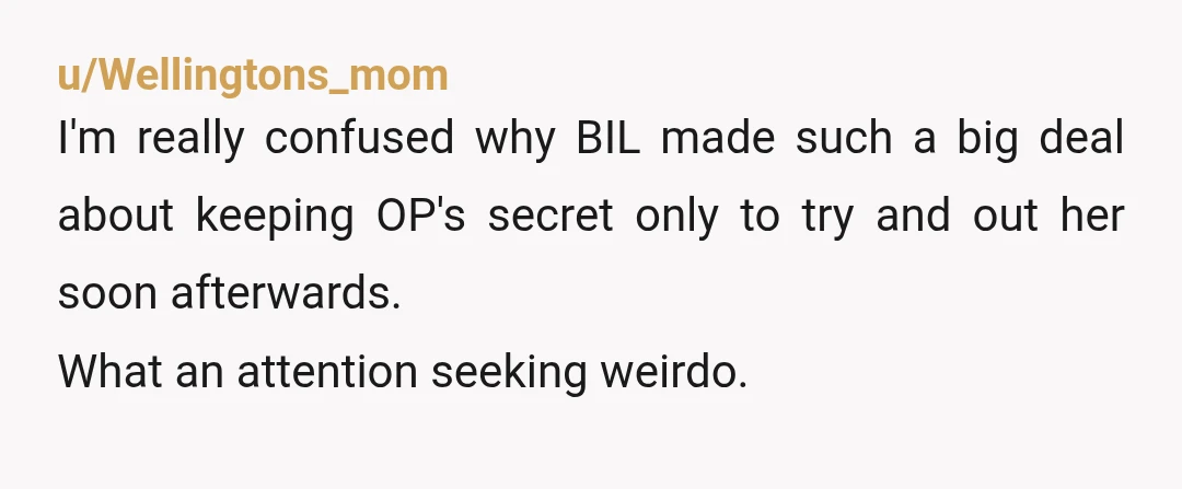 u/Wellingtons_mom
I'm really confused why BIL made such a big deal about keeping OP's secret only to try and out her soon afterwards.
What an attention seeking weirdo.
