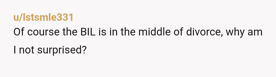 u/lstsmle331
Of course the BIL is in the middle of divorce, why am I not surprised?