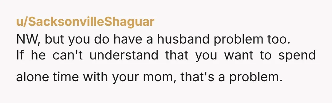 u/SacksonvilleShaguar NW, but you do have a husband problem too. If he can't understand that you want to spend alone time with your mom, that's a problem.