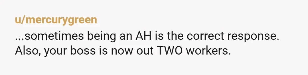 u/mercurygreen
...sometimes being an AH is the correct response.
Also, your boss is now out TWO workers.