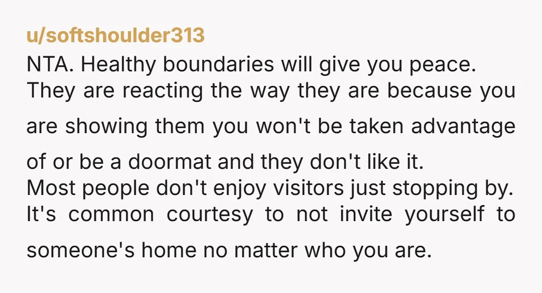u/softshoulder313 NTA. Healthy boundaries will give you peace. They are reacting the way they are because you are showing them you won't be taken advantage of or be a doormat...