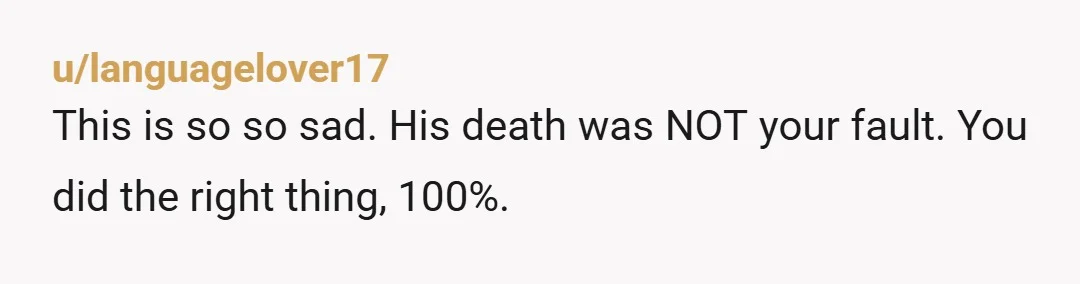 u/languagelover17
This is so so sad. His death was NOT your fault. You did the right thing, 100%.