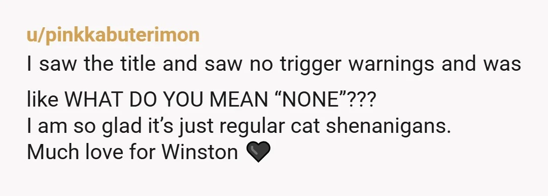 u/pinkkabuterimon I saw the title and saw no trigger warnings and was like WHAT DO YOU MEAN “NONE”??? I am so glad it’s just regular cat shenanigans. Much love for...