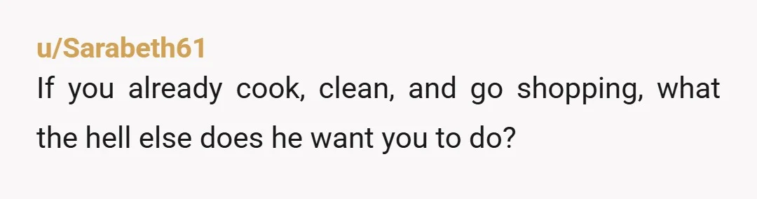 u/Sarabeth61
If you already cook, clean, and go shopping, what the hell else does he want you to do?
