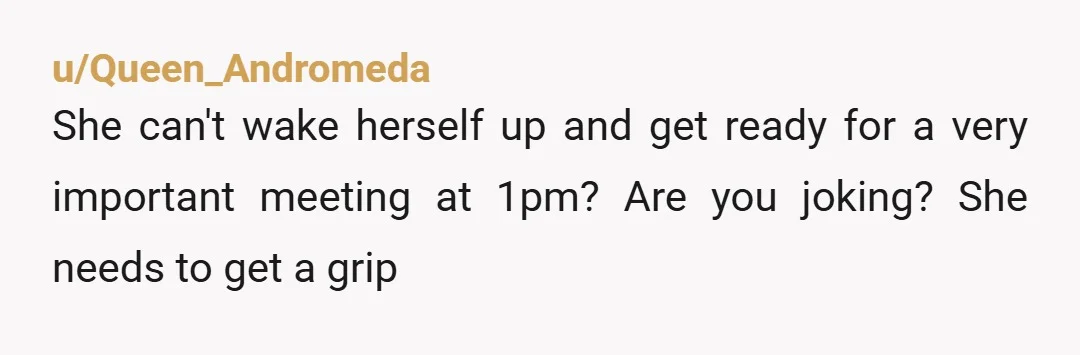 u/Queen_Andromeda
She can't wake herself up and get ready for a very important meeting at 1pm? Are you joking? She needs to get a grip