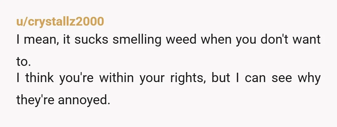 u/crystallz2000
I mean, it sucks smelling weed when you don't want to.
I think you're within your rights, but I can see why they're annoyed.
