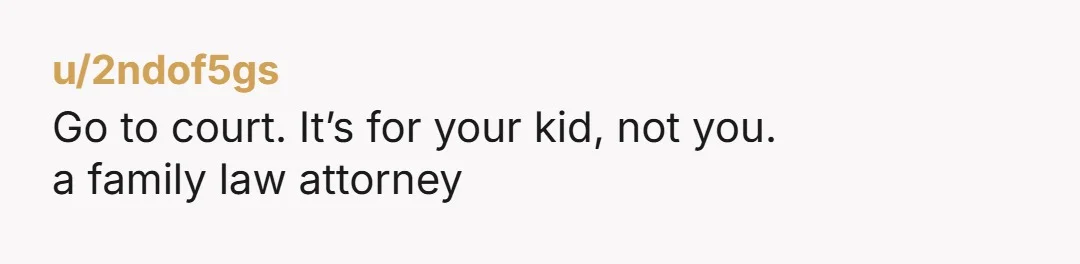 u/2ndof5gs Go to court. It’s for your kid, not you.  a family law attorney 
