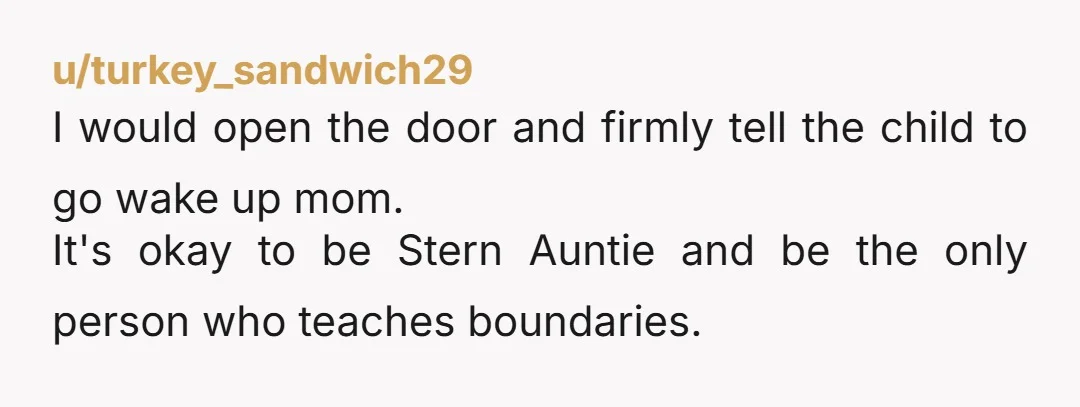u/turkey_sandwich29
I would open the door and firmly tell the child to go wake up mom.
It's okay to be Stern Auntie and be the only person who teaches boundaries.
