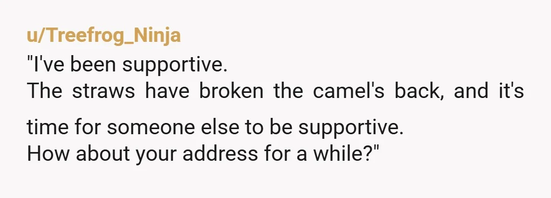 u/Treefrog_Ninja
"I've been supportive.
The straws have broken the camel's back, and it's time for someone else to be supportive.
How about your address for a while?"