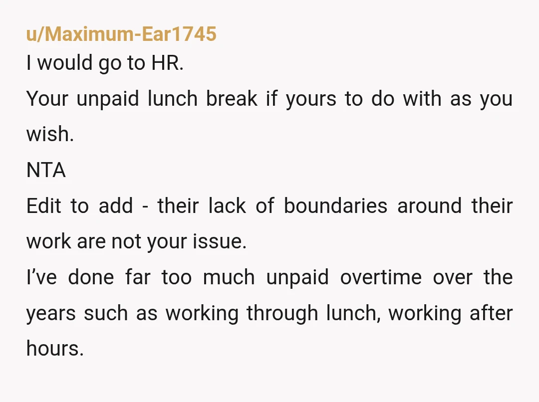 u/Maximum-Ear1745 I would go to HR. Your unpaid lunch break if yours to do with as you wish. NTA Edit to add - their lack of boundaries around their work...