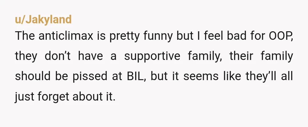 u/Jakyland The anticlimax is pretty funny but I feel bad for OOP, they don’t have a supportive family, their family should be pissed at BIL, but it seems like they’ll...