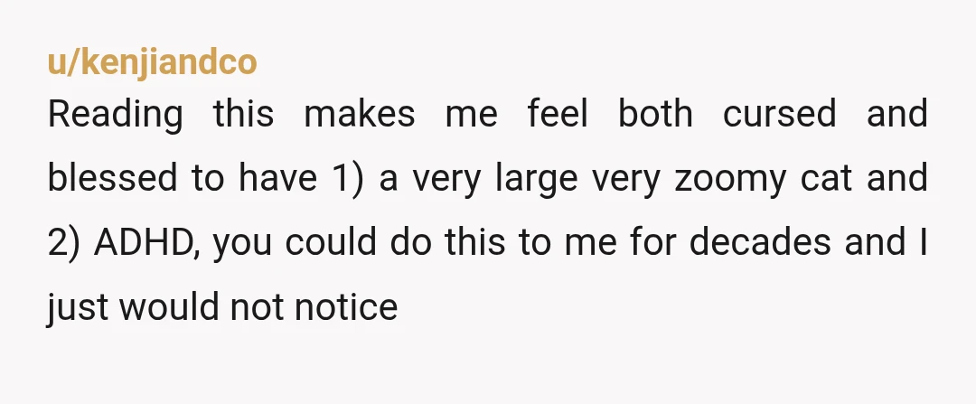 u/kenjiandco Reading this makes me feel both cursed and blessed to have 1) a very large very zoomy cat and 2) ADHD, you could do this to me for decades...