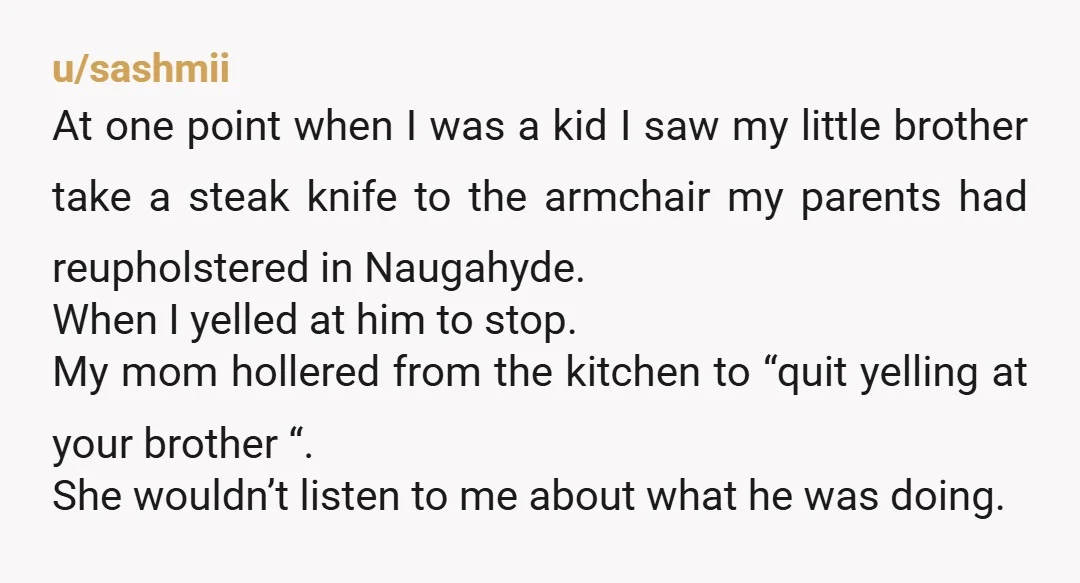 u/sashmii At one point when I was a kid I saw my little brother take a steak knife to the armchair my parents had reupholstered in Naugahyde. When I yelled...