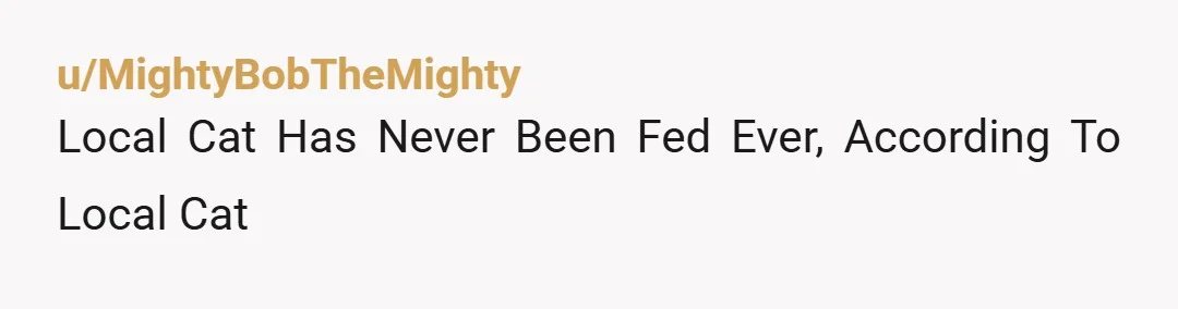 u/MightyBobTheMighty
Local Cat Has Never Been Fed Ever, According To Local Cat