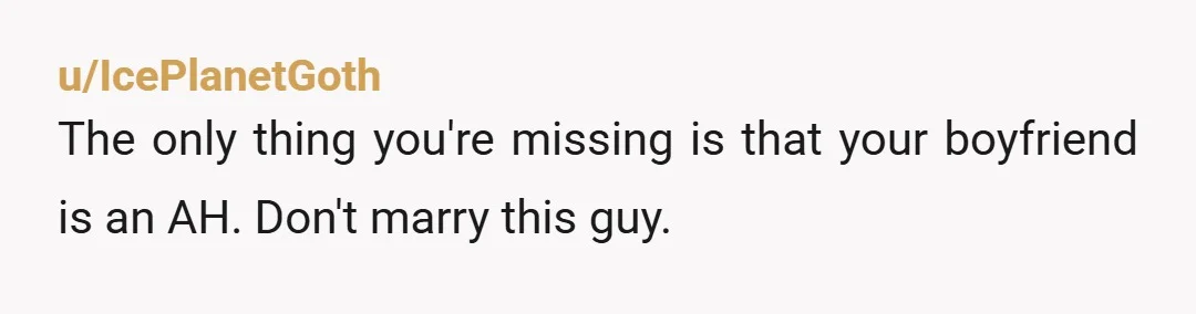 u/IcePlanetGoth
The only thing you're missing is that your boyfriend is an AH. Don't marry this guy. 