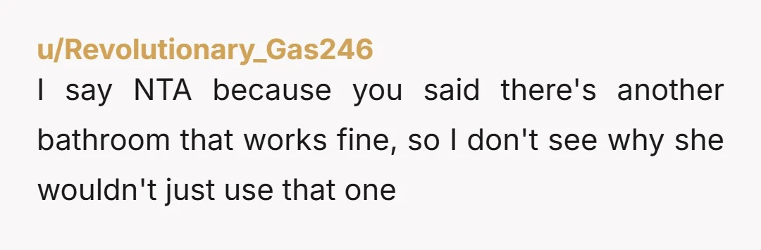 u/Revolutionary_Gas246 I say NTA because you said there's another bathroom that works fine, so I don't see why she wouldn't just use that one
