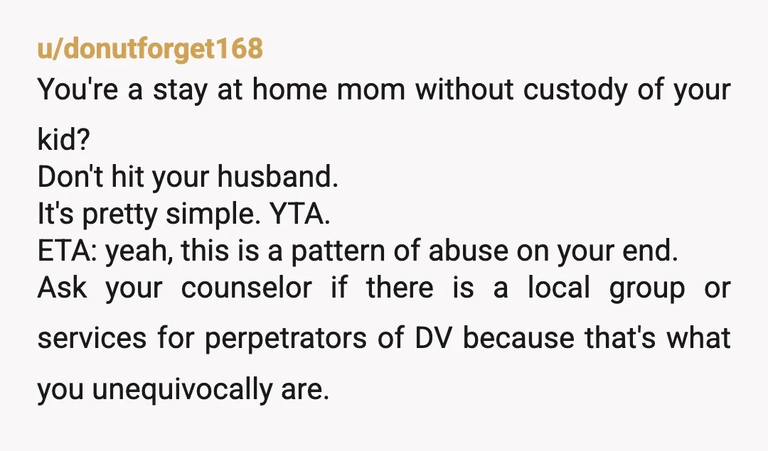 u/donutforget168 You're a stay at home mom without custody of your kid? Don't hit your husband. It's pretty simple. YTA. ETA: yeah, this is a pattern of abuse on your end....