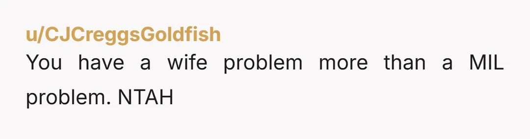 u/CJCreggsGoldfish
You have a wife problem more than a MIL problem. NTAH