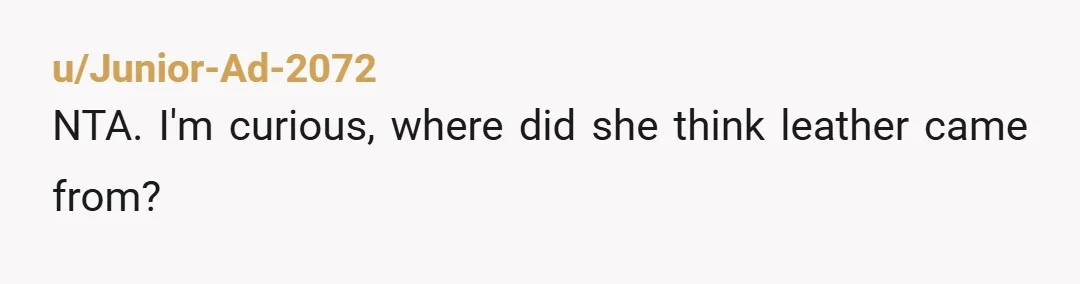 u/Junior-Ad-2072
NTA. I'm curious, where did she think leather came from?