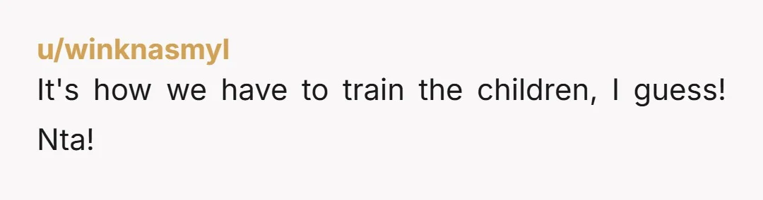 u/winknasmyl
It's how we have to train the children,  I guess!  Nta!