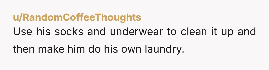 u/RandomCoffeeThoughts
Use his socks and underwear to clean it up and then make him do his own laundry.