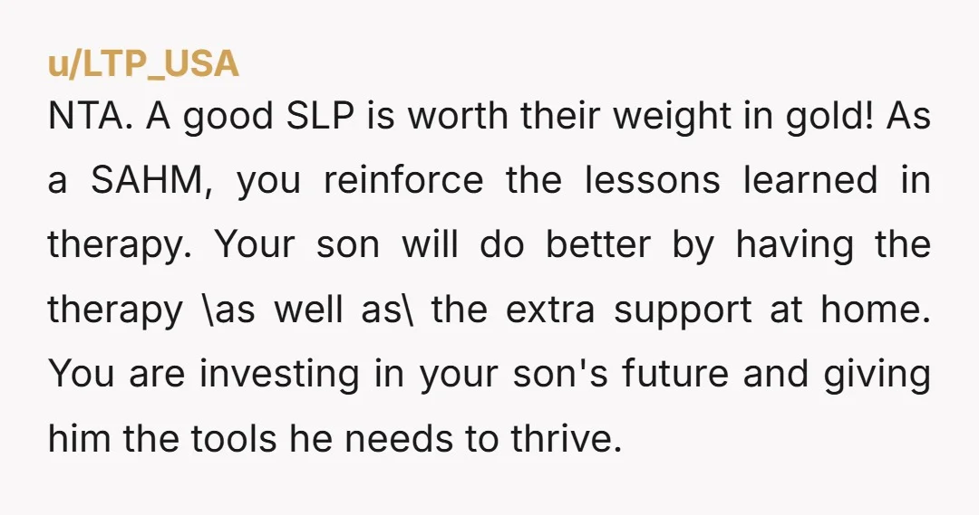 u/LTP_USA NTA. A good SLP is worth their weight in gold! As a SAHM, you reinforce the lessons learned in therapy. Your son will do better by having the therapy...