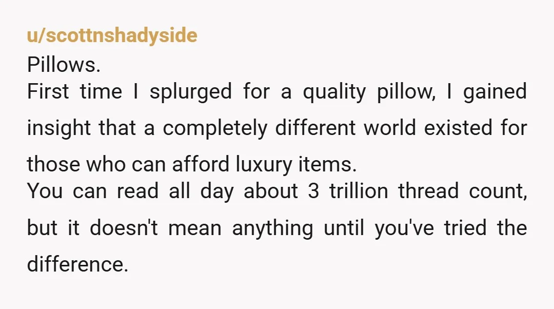 u/scottnshadyside Pillows. First time I splurged for a quality pillow, I gained insight that a completely different world existed for those who can afford luxury items. You can read all...