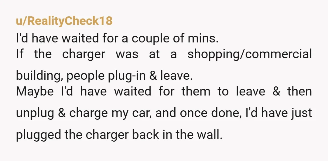 u/RealityCheck18 I'd have waited for a couple of mins. If the charger was at a shopping/commercial building, people plug-in & leave. Maybe I'd have waited for them to leave &...