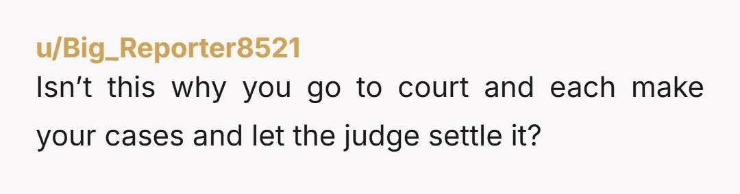 u/Big_Reporter8521 Isn’t this why you go to court and each make your cases and let the judge settle it?