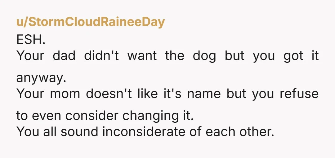 u/Mysterious_Luck4674 INFO: who pays for the vet bills, the dog food, the training, etc? Who picks up the dog poop? Who is house training the dog? That person gets the...