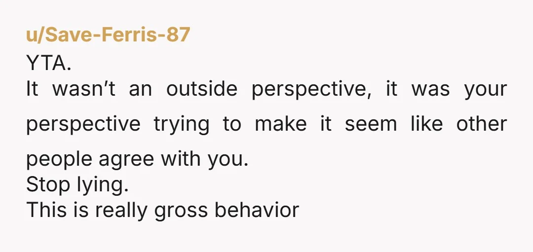 u/Save-Ferris-87 YTA. It wasn’t an outside perspective, it was your perspective trying to make it seem like other people agree with you. Stop lying. This is really gross behavior