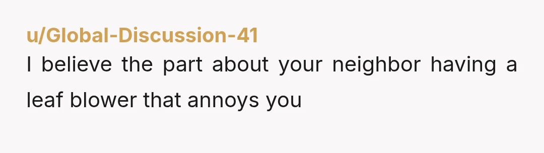 u/Global-Discussion-41
I believe the part about your neighbor having a leaf blower that annoys you