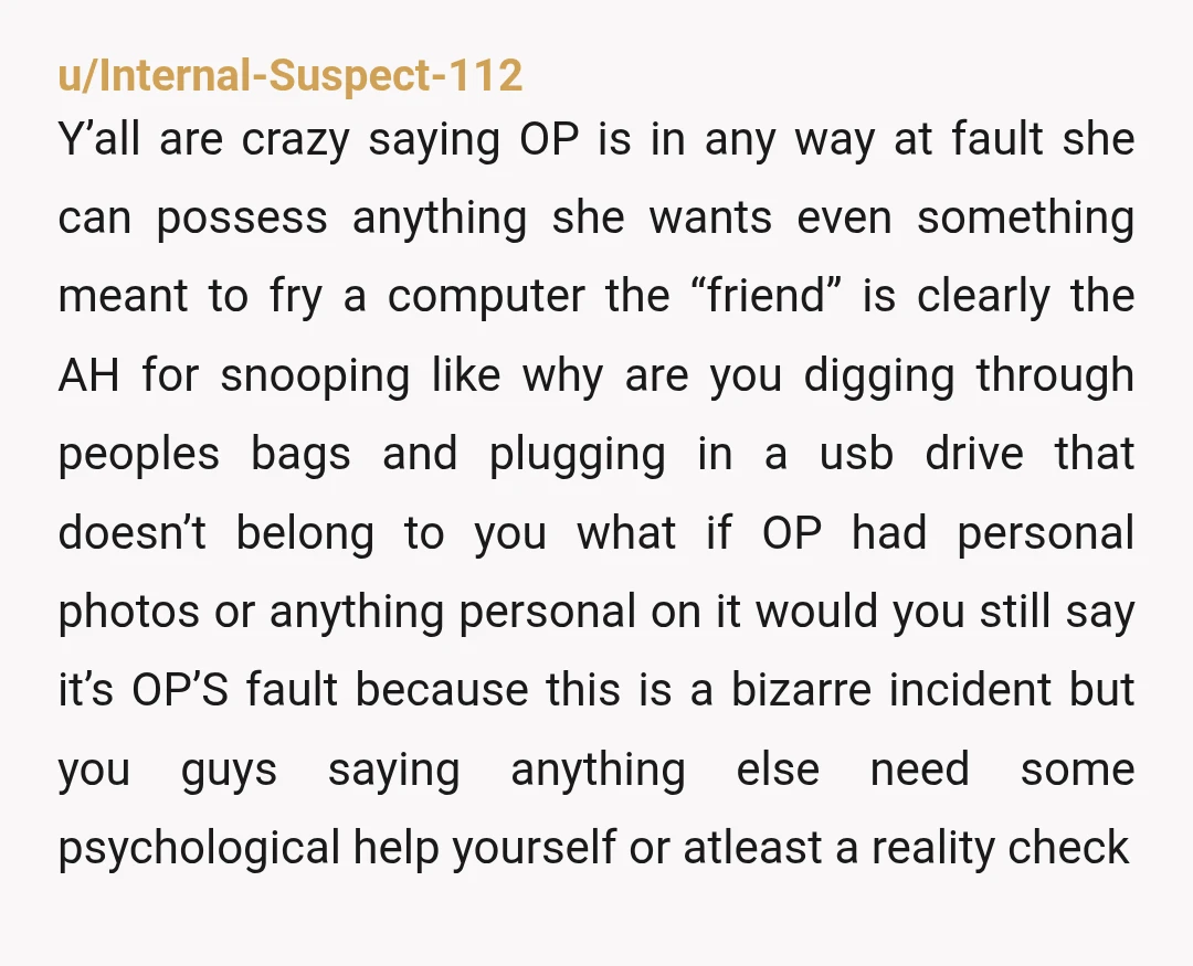 u/Internal-Suspect-112 Y’all are crazy saying OP is in any way at fault she can possess anything she wants even something meant to fry a computer the “friend” is clearly the...