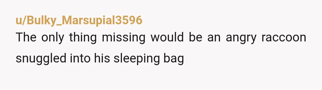 u/Bulky_Marsupial3596 The only thing missing would be an angry raccoon snuggled into his sleeping bag