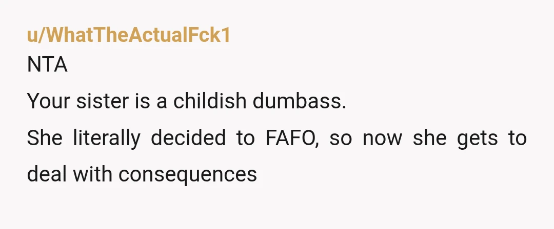 u/Wise-Initiative9520
Ooh straight to the personal insults. Your sister sounds like a delight. NTA 