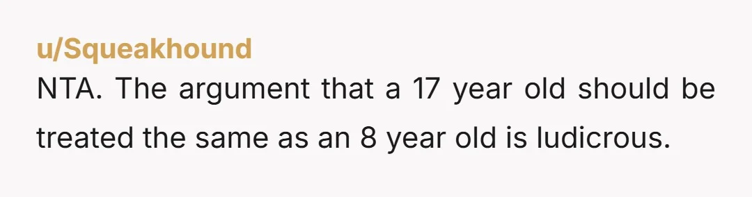 u/Squeakhound
NTA. The argument that a 17 year old should be treated the same as an 8 year old is ludicrous.