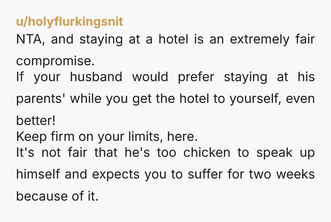 u/holyflurkingsnit NTA, and staying at a hotel is an extremely fair compromise. If your husband would prefer staying at his parents' while you get the hotel to yourself, even better!...