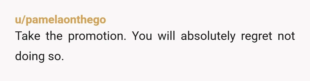 u/pamelaonthego
Take the promotion. You will absolutely regret not doing so.