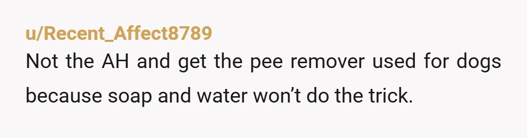 u/Recent_Affect8789
Not the AH and get the pee remover used for dogs because soap and water won’t do the trick.