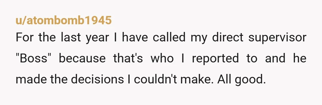 u/atombomb1945 For the last year I have called my direct supervisor "Boss" because that's who I reported to and he made the decisions I couldn't make. All good. Then he...