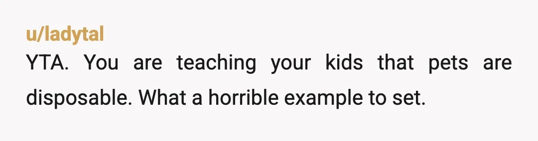 u/ladytal
YTA. You are teaching your kids that pets are disposable. What a horrible example to set.
