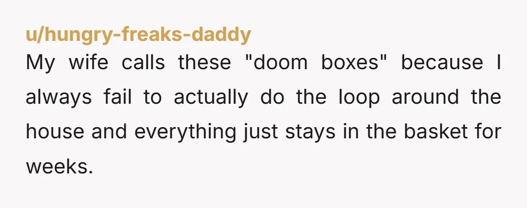 u/hungry-freaks-daddy My wife calls these "doom boxes" because I always fail to actually do the loop around the house and everything just stays in the basket for weeks.