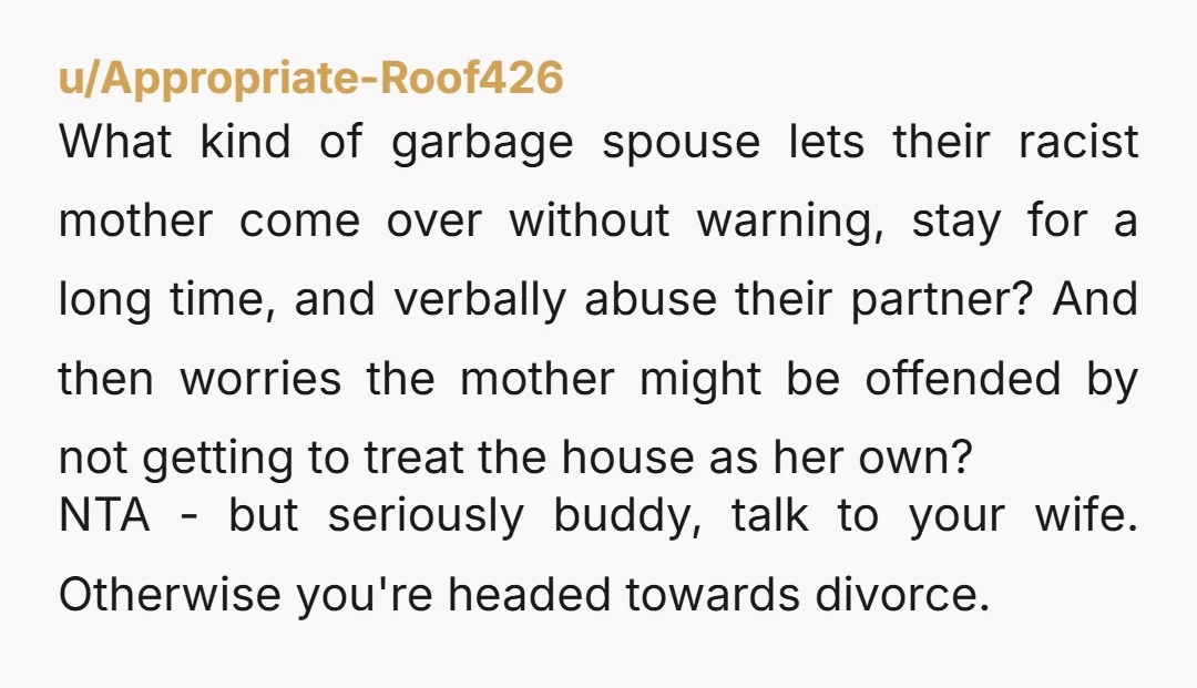 u/Appropriate-Roof426 What kind of garbage spouse lets their racist mother come over without warning, stay for a long time, and verbally abuse their partner? And then worries the mother might...