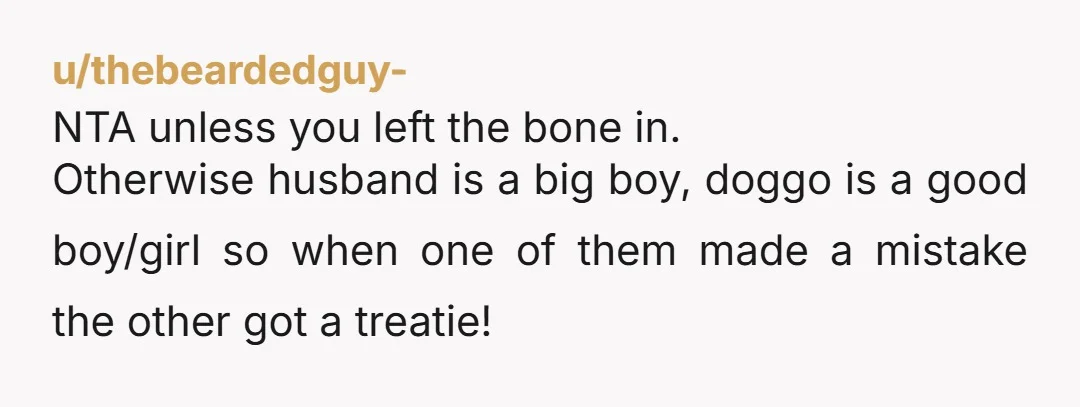 u/thebeardedguy- NTA unless you left the bone in. Otherwise husband is a big boy, doggo is a good boy/girl so when one of them made a mistake the other got...
