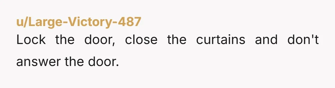 u/Large-Victory-487 Lock the door, close the curtains and don't answer the door. 
