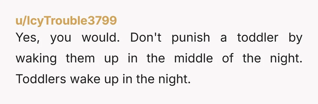 u/IcyTrouble3799
Yes, you would. Don't punish a toddler by waking them up in the middle of the night. Toddlers wake up in the night.