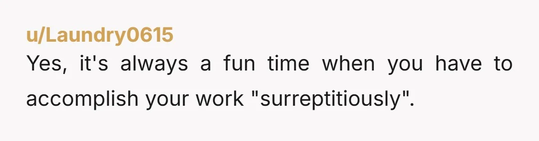 u/Laundry0615
Yes, it's always a fun time when you have to accomplish your work "surreptitiously".