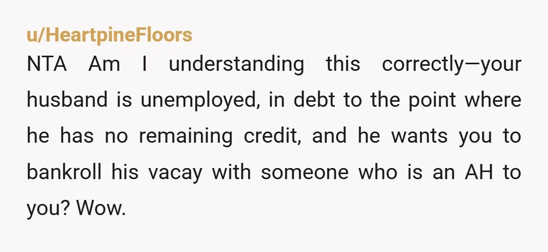 u/HeartpineFloors NTA Am I understanding this correctly—your husband is unemployed, in debt to the point where he has no remaining credit, and he wants you to bankroll his vacay with...