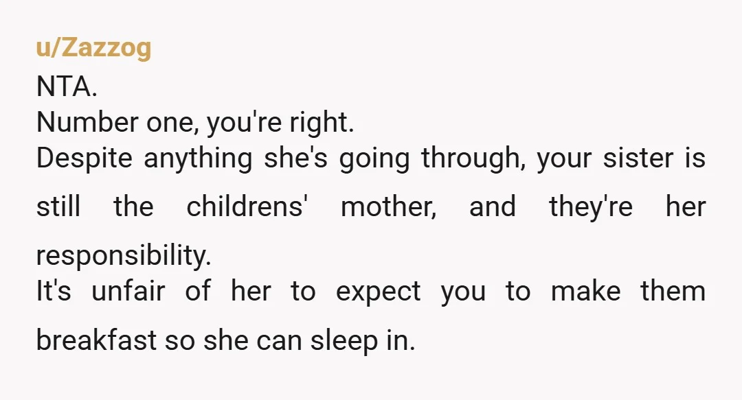 u/Zazzog NTA. Number one, you're right. Despite anything she's going through, your sister is still the childrens' mother, and they're her responsibility. It's unfair of her to expect you to...