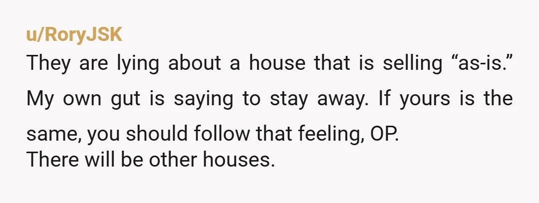 u/RoryJSK They are lying about a house that is selling “as-is.”  My own gut is saying to stay away.  If yours is the same, you should follow that feeling, OP....